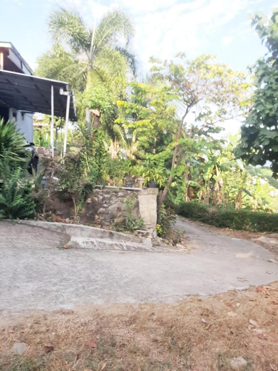 Villa Tasya 라부안 바조 외부 사진